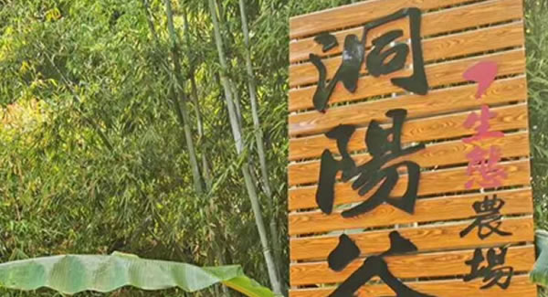 廣有合頁2019踏春拓展--經(jīng)歷中成長(zhǎng)，成長(zhǎng)中經(jīng)歷