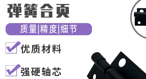 彈簧合頁，你身邊信賴的合頁|廣有五金&東莞合頁?